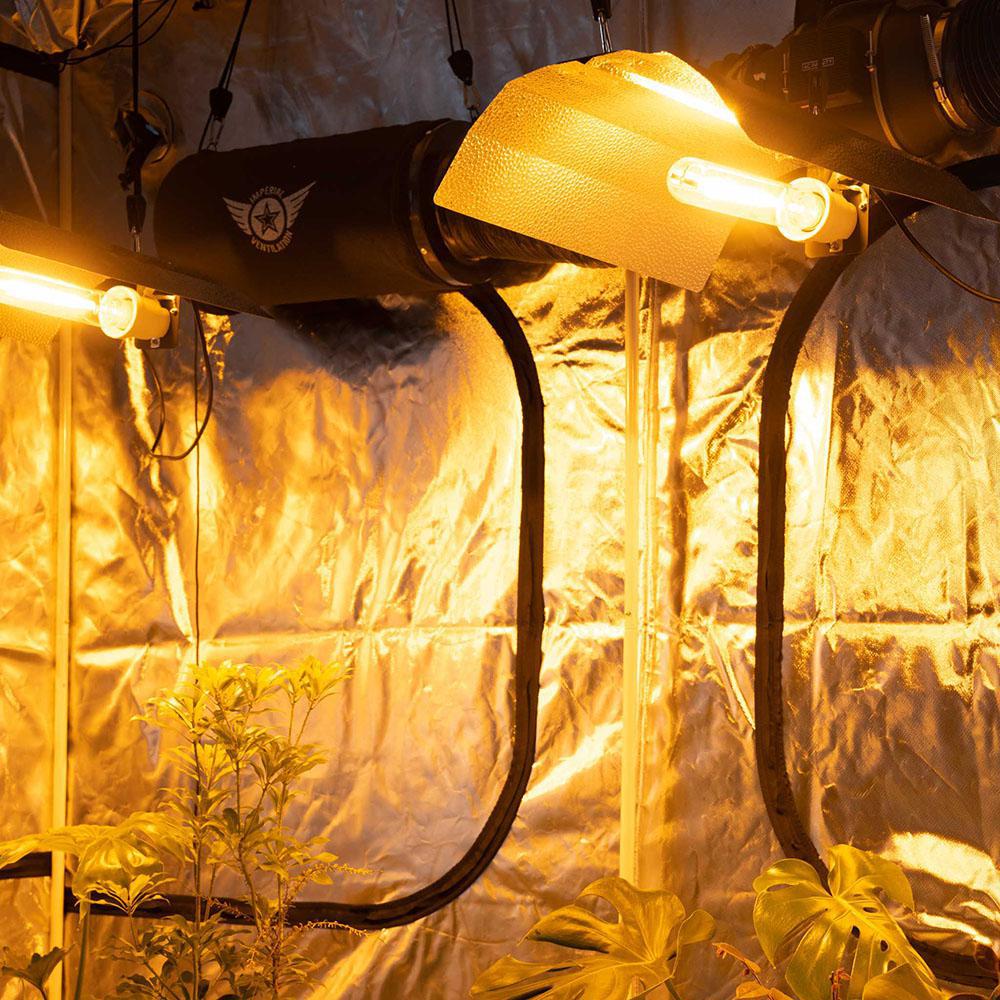 Professionelles NDL Growbox Komplettset für große Indoor Grow Anlagen
