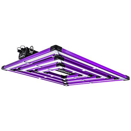 LED Growlampe